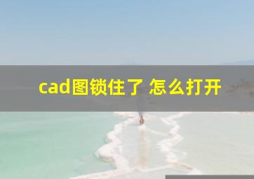 cad图锁住了 怎么打开